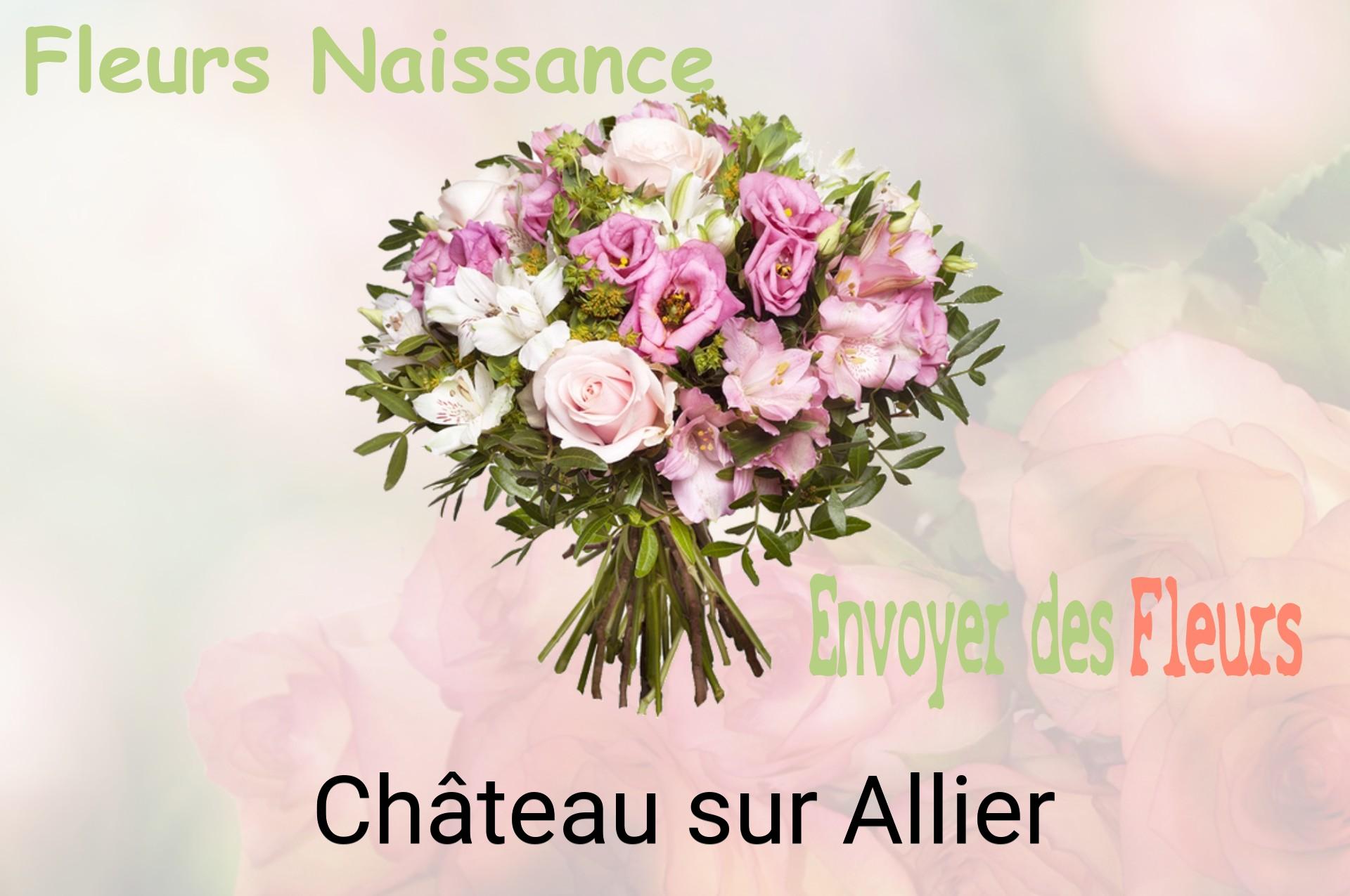 Bouquet de fleurs de naissance livré à Château-sur-Allier